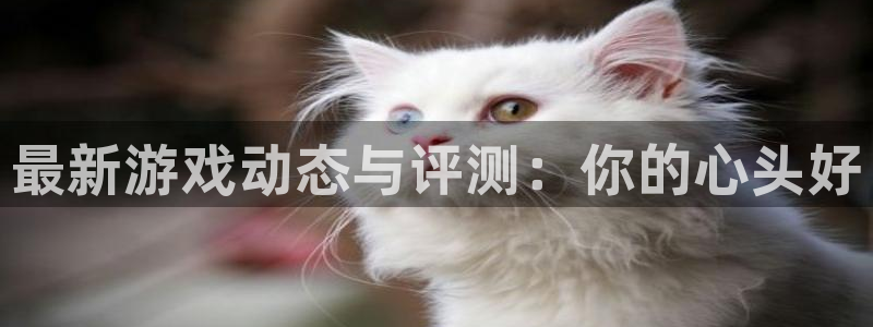 奇亿娱乐app下载|下载地址：最新游戏动态与评测：你的心头好