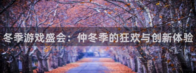 奇亿娱乐线路测试：冬季游戏盛会：仲冬季的狂欢与创新体验