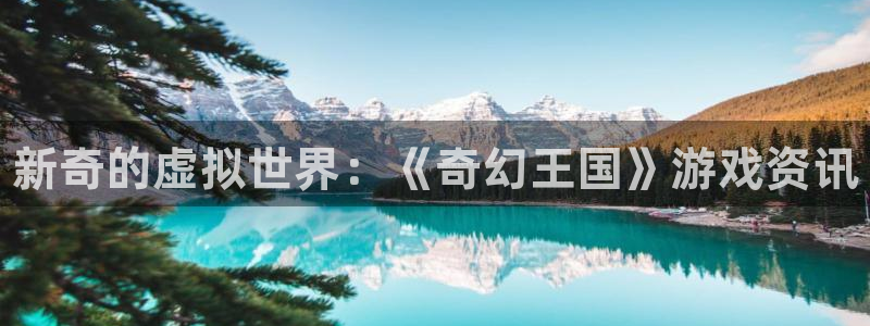 奇亿娱乐平台：新奇的虚拟世界：《奇幻王国》游戏资讯