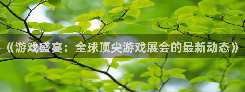 奇亿娱乐注册账号：《游戏盛宴：全球顶尖游戏展会的最新动态》