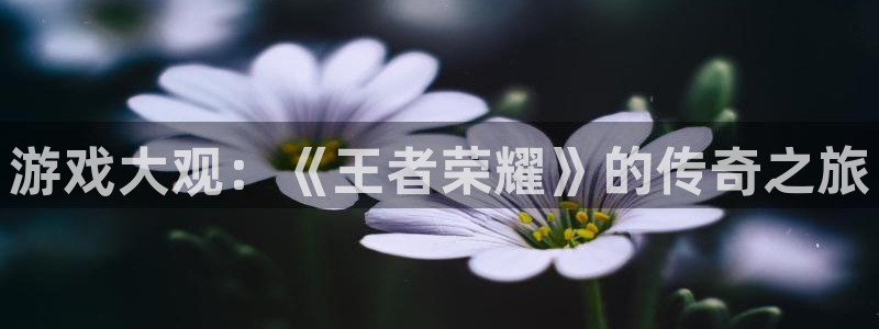 奇亿娱乐平台官网注册：游戏大观：《王者荣耀》的传奇之旅