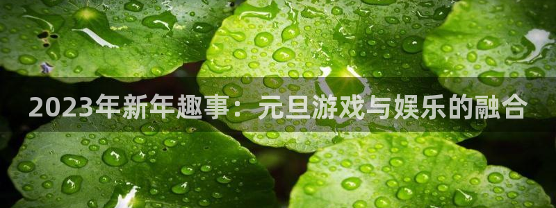 奇亿娱乐平台登录：2023年新年趣事：元旦游戏与娱乐的融合