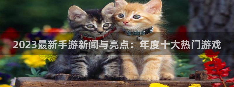 奇亿娱乐平台注册开户：2023最新手游新闻与亮点：年度十大热
