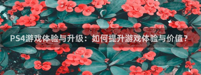 奇亿娱乐注册服务条款：PS4游戏体验与升级：如何提升游戏体验
