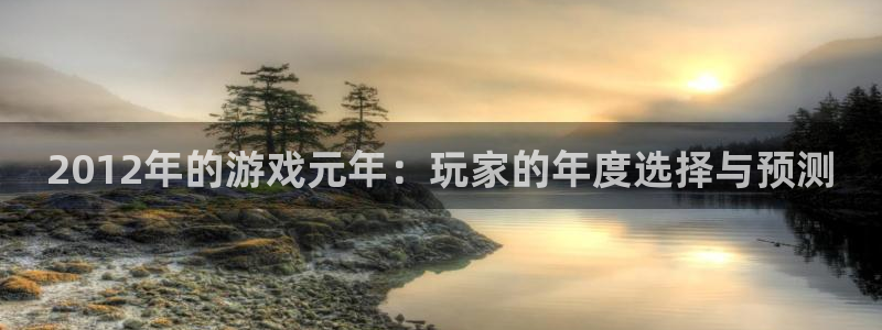 奇亿娱乐网页版地址：2012年的游戏元年：玩家的年度选择与预