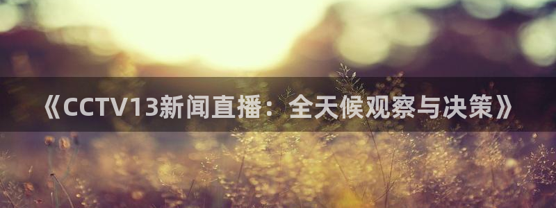 山猫足球比赛体育直播：《CCTV13新闻直播：全天候观察与决策》