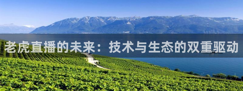 山猫体育免费直播：老虎直播的未来：技术与生态的双重驱动
