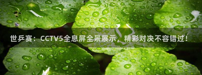 山猫在线体育直播篮球：世乒赛：CCTV5全息屏全景展示，精彩对决不容错过！