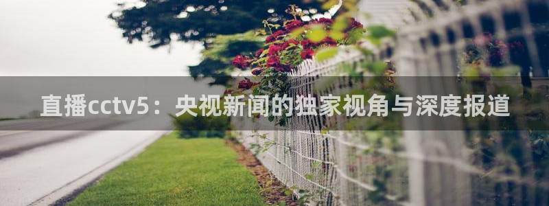 山猫体育免费直播篮球cba：直播cctv5：央视新闻的独家视角与深度报道