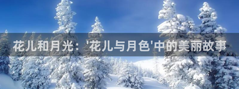 山猫体育免费直播发展联盟：花儿和月光：\'花儿与月色\'中的美丽故事