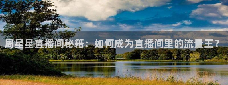 nba山猫直播体育：周星星直播间秘籍：如何成为直播间里的流量王？